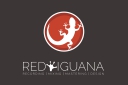 RED IGUANA STUDIO｜レッド イグアナ スタジオ